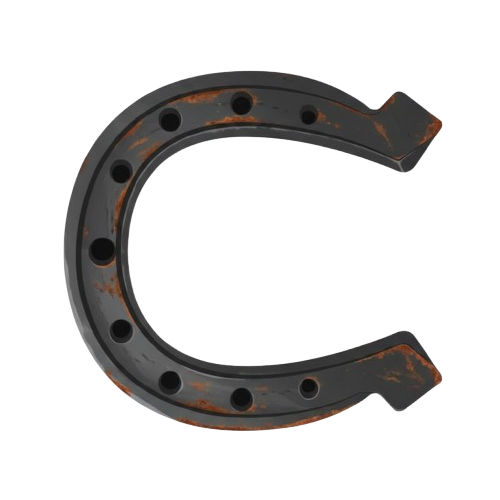 Lucky Horseshoe